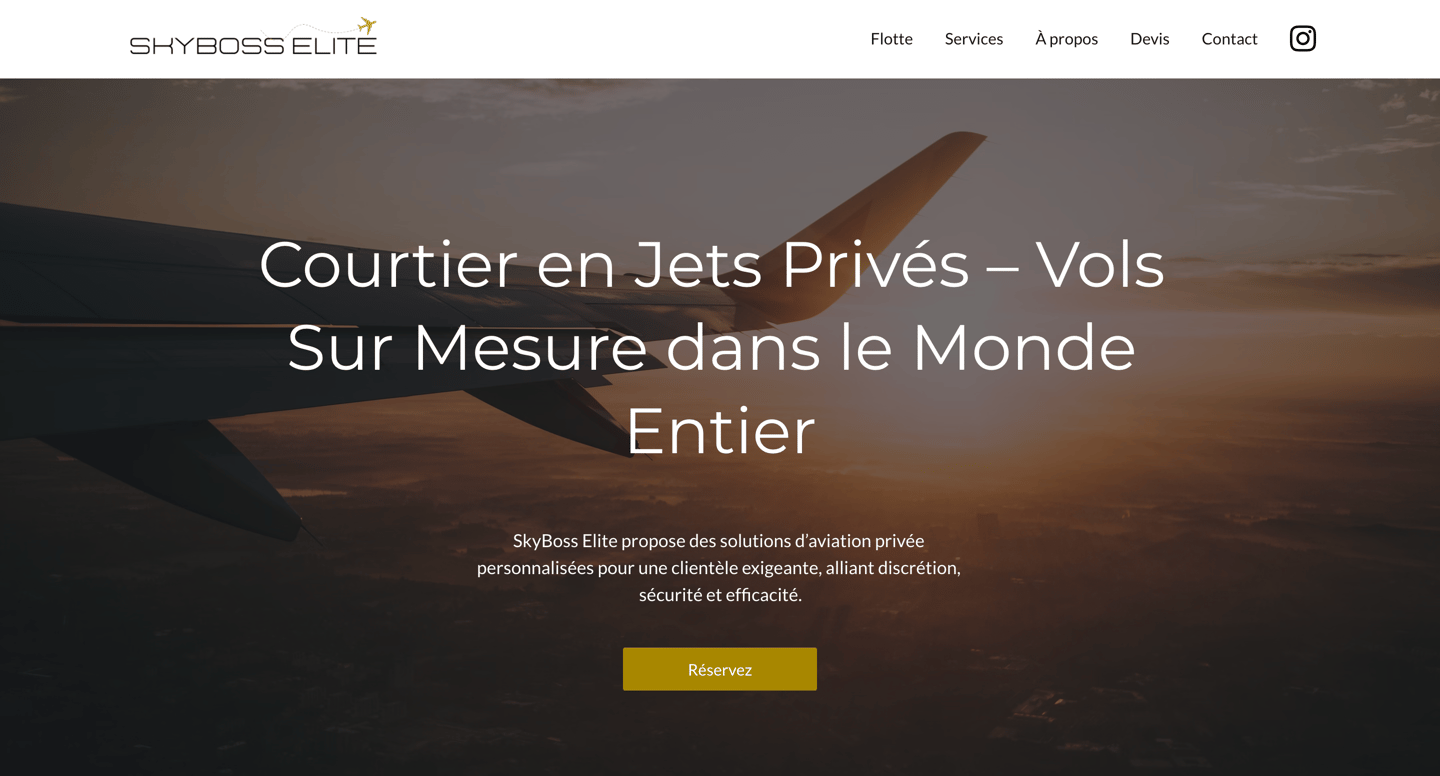 Aperçu du site Skyboss Elite